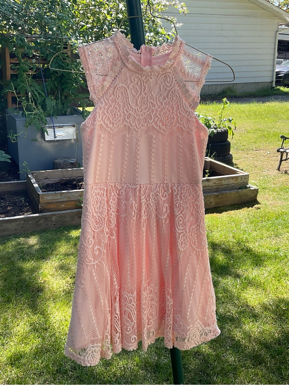 Us Angels Pink Lace Cap-Sleeve Fit & Flare Formal Dress